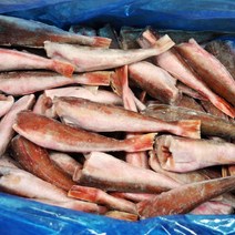 푸드마을 냉동 생선 손질 성대 달갱이 5kg 내외 1박스, 손질 성대 5kg 내외, 1개