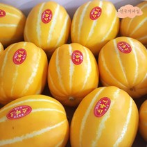 제철과일 성주참외 봄 과일 4월 과일 다이어트 여름 과일 3kg 5kg 10kg, 10kg 특품 로얄과(27~40과), 1개