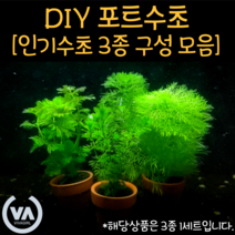 [비바소녀] 직접 만드는 DIY 포트수초 3종 1세트 4종 구성(8촉/15촉/15촉/20촉) / 100% 수중수초 인기수초 고급수초 초보수초, 사랑세트(먼1토니3레카4)