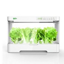 미니스마트팜 LED 상추키우기 가정용 소형 야채 상추 새싹 묘목 키우기 수경재배기, Caiduoduo 펄 화이트 30홀