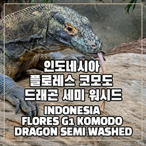 (커피생두) 6 인도네시아 플로세스 코모도 드래곤 세미 워시드 1kg, 1개