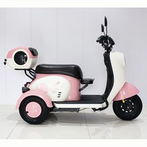 전기 오토바이 삼륜차 스쿠터 다인승 출퇴근용 전기차 삼륜 세발 3발, 핑크, 48V