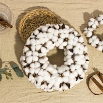 둔떼 빅사이즈 목화솜리스 선물세트