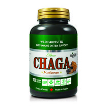 코데코뉴트리션 차가버섯 120캡슐 천연항암제 캐나다의 산삼 성인병예방 신장질환개선 당뇨치료에효과 간기능향상