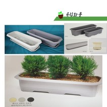유림화훼자재상사 메가박스 화분, 베이지, 1개