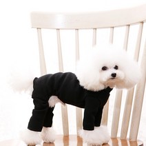 펫디자인 휘트니스 올인원, 블랙