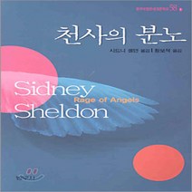 범우사 새책-스테이책터 [천사의 분노] -범우비평세계문학선 58-1--범우사-시드니 셀던 지음 황보석 옮김-영미소설-200305, 시드니 셀던 지음, 황보석 옮김