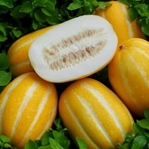 성주 꿀 참외 당도선별 못난이 참외 랜덤 혼합과 2kg 산지직송, 가정용 로얄과2kg