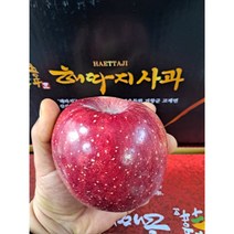 (과일천국1번지) 맛 좋은 거창 해따지 부사 사과 (중과) - 6과