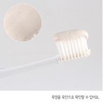 죽염종가 인산죽염치약, 인산죽염 대소금치약 160g 2개, 2개