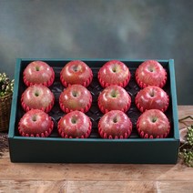 [당일배송/정성포장]사과 세트 1호 2호(12개이하 4.7kg) 과일선물세트, 사과 세트 1호(12개 이하, 4.7kg)