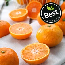 타이백 제주 서귀포 노지감귤 4.5kg 9kg, 타이백 노지감귤 4.5kg 대과/L-2L