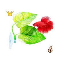 하프문 베타 꽃 침대 어항 꾸미기 구피 새우 키우기 생활 필수템 모음, 상품선택, 베타침대