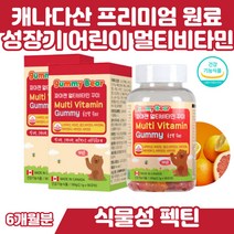 캐다나산 키즈 초등학생 과일 향 종합비타민 영양제 맛있는 아동 초등학생 나아아신 엽산 판토텐산 비오틴 다양한 식물성 펙틴 부원료 멀티비타민 젤리형 90꾸미2통