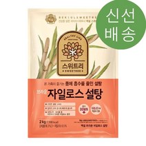 백설 브라운 자일로스설탕 2KG 1개