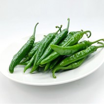 [특급] 아삭이고추 500g 1kg 5kg 오이고추, 아삭이고추1kg
