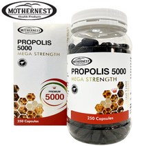 호주 마더네스트 프로폴리스 메가 5000mg 250캡슐, 본상품선택, 본상품선택