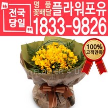 프리지아(봄상품) 꽃다발 어버이날 스승의날 꽃바구니 꽃배달 당일배송