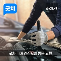 굿차 출장 엔진오일 교환 기아 - 카니발, 프리미엄 100%합성 오일, R 2.9 디젤 (11-14년)