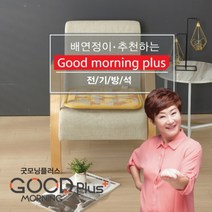 쇼파 의자용 전기방석 1인용 소형 온열매트 45cm 45cm, 금화백화점 본상품선택, 금화백화점 본상품선택