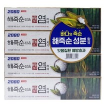치주염치약 2080 잇몸 소금치약 하얀치약