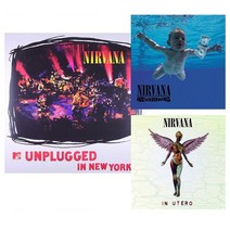 너바나 Nirvana LP 너바나 네버마인드 언플러그트 인유터로 3번들링 앨범 바이늘 바이닐