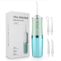 220ml 세척기 치과 물 Flosser 치아 클리너 미백 방수 충전식 무선 구강 치료, 03 Green
