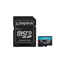 Kingston SDXC 캔버스 고 플러스 170MB/s 읽기 UHS I C10 U3 V30 메모리 카드, microSD 카드_256GB | 빠름(최대 170MB