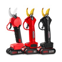 전동가위 가지치기 원예 과수원 충전 무선 가위 배터리 1개/2개 Q1110325, 블랙A