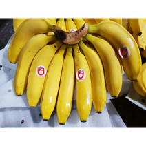 바나나푸딩가격 싸게파는 제품들 중에서 선택하세요