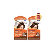LG 생활건강 엘라스틴 샴푸하듯 간편염색 자연갈색 60g x 2개