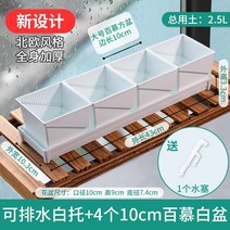 틀밭 대형화분도매 상추수경재배 키큰화분 난화분 콩분 플분 행인화분 삽목상자 슬릿분 새로운 작은 플라스틱 통기성 조합 식물 제어 루트 사각형 바닥 트레이, 새 세면대 + 배수 흰색 트레이 + 흰색 세면대, 수지