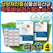 GMP 김치 유산균 장용성 식물성 캡슐 플란타룸 6억6천 과도한 다이어트 잔변감 아랫배 더부룩 장 가스 제거 장내세균총 신바이오틱스 임산부 수유부 딱딱한변 식약청 인정 묽은변