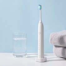에버블루 덴티굿 휴대용 음파 전동칫솔, 칫솔헤드