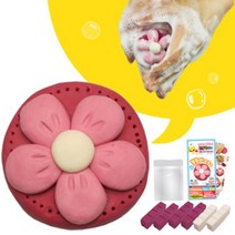 [바보사랑] 쪼물락비누 식물 비누 만들기 (1인용), 만들기선택:카네이션