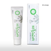 하얀민들레 치약 160g 고기능성 웰빙치약 잇몸질환 구내염, 8개-1세트