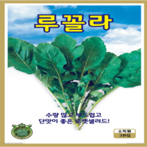 OK농장 [[루꼴라 쌈채소] 루꼴라(3000립)] 루꼴라씨앗 종묘 묘종 씨앗 채소씨앗 꽃씨앗(KS종묘)