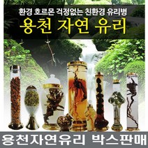 용천자연유리 수동 9호~157호 담금주병 용천병, 39.수동51호 1박스(24개)