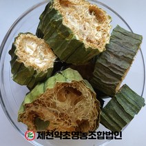 국내산 수세미 300g 제천약초영농조합, 1