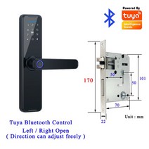 가정용 소형 금고 미니 지문 Tuya APP 전화 원격 제어 잠금 전기 암호 코드 번호 IC 카드 도어 키, 04 Black TuyaBLE 170x22