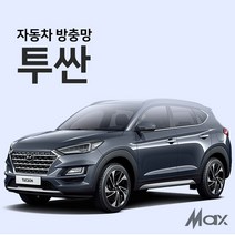 맥스산업 투싼방충망 자동차방충망 차박필수아이템, 1개