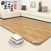 [일월]2022년형 나노륨 온수카페트매트 특대형270x183, 특대형