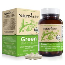 네츄라넥타 Naturanectar 브라질 그린 비 초록 아르테필린C 케르세틴 프로폴리스 60 베지캡슐