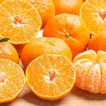 바른식탁 레드향 선물세트 1.5kg 7과내외, 1