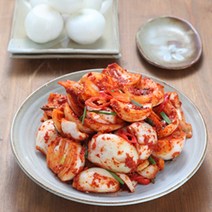 [미식관]해남 화원농협 양파(장)김치3kg, 양파장김치3kg