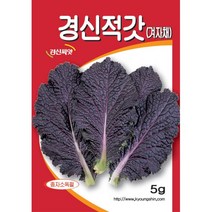 (씨앗) 적겨자 - 붉은색 겨자채 - 매운맛 쌈채소 - 적색 겨자채 씨앗 종자 - 5g