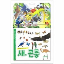 새와곤충 백과사전 생생한화보사진으로보는, 상품명