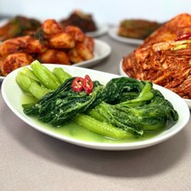 대박갓김치 전라도 여수 돌산 갓물김치, 6kg, 1개
