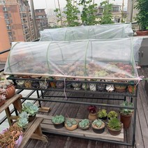 다육이겨울나기 미니온실 비닐하우스 베란다 옥상 식물 보온 조립식 화분 덮개 월동 바람막이, 길이 150 폭 88 높이 70 cm