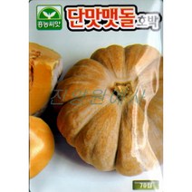 (씨앗) 맷돌호박 - 과육이 두터운 맷돌호박 씨앗 종자 - 70립